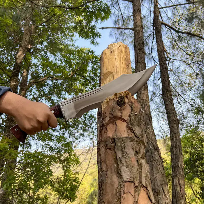 Ancient Fixed Blade Bowie Knife with Leather Sheath